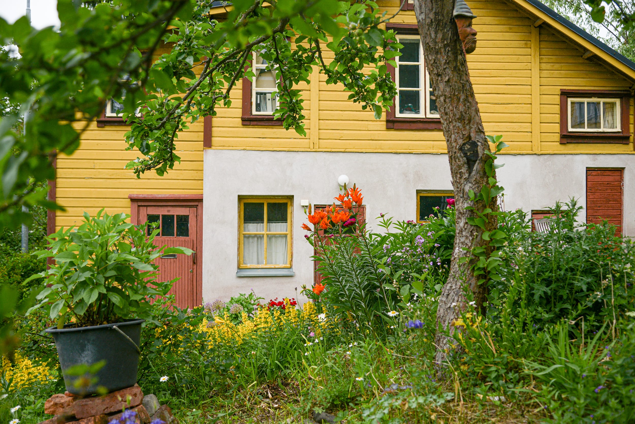 Pispankatu-14-vanha-sauna-ja-perinteinen-puutarha-loppukesan-kukinnassa.-Kuva-Hanna-Pielikko